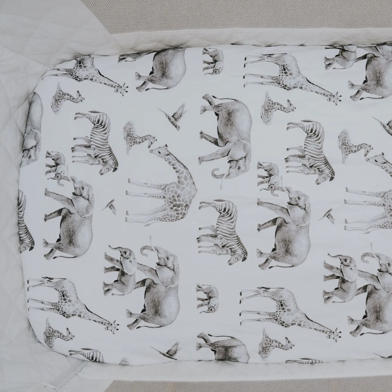 Regular Bassinet Waterproof Sheet  - Baby Dont Herd Me