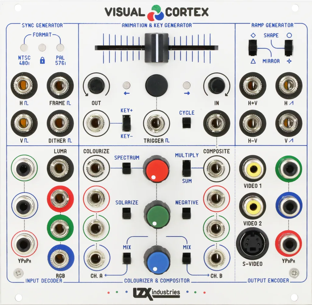 Visual Cortex