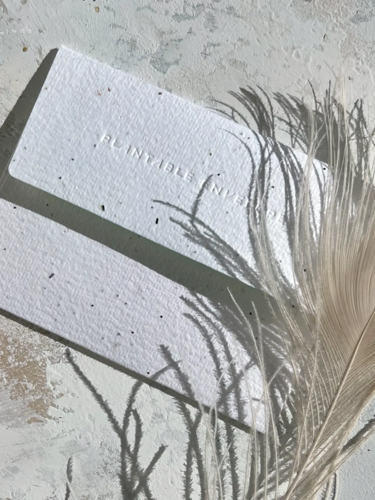 You're Unbe-leaf-able - Seeded Thank You Card